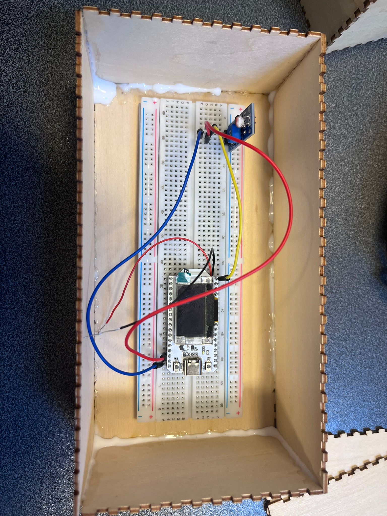 Project foto van 16 juni 2025 (12:36)